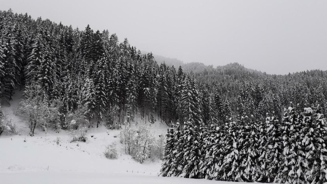 Willa Nieslerhof Mayrhofen Zewnętrze zdjęcie